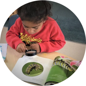 Exploring and learning - Papakura Early Learning Centre