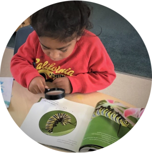 Exploring and learning - Papakura Early Learning Centre
